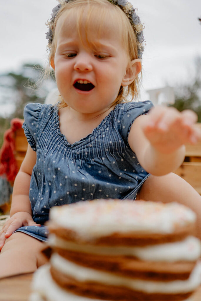 Fotografin-Judith-fotografiert_Brunsberg_Cakesmash_Fotoshooting_Baby_Sommer_Heidebluete