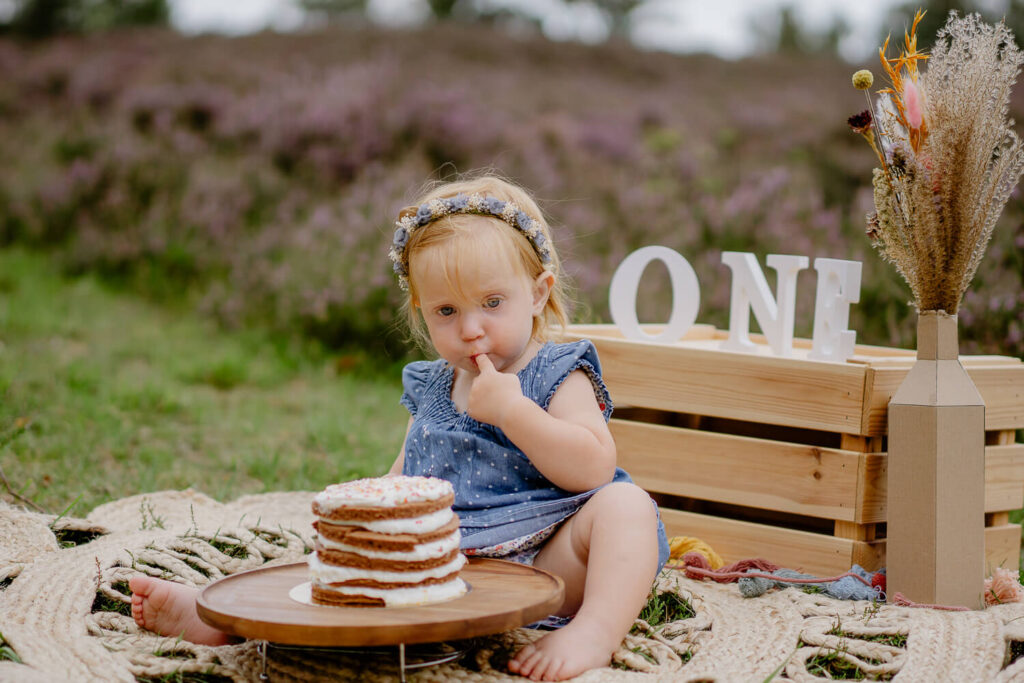 Fotografin-Judith-fotografiert_Brunsberg_Cakesmash_Fotoshooting_Baby_Sommer_Heidebluete