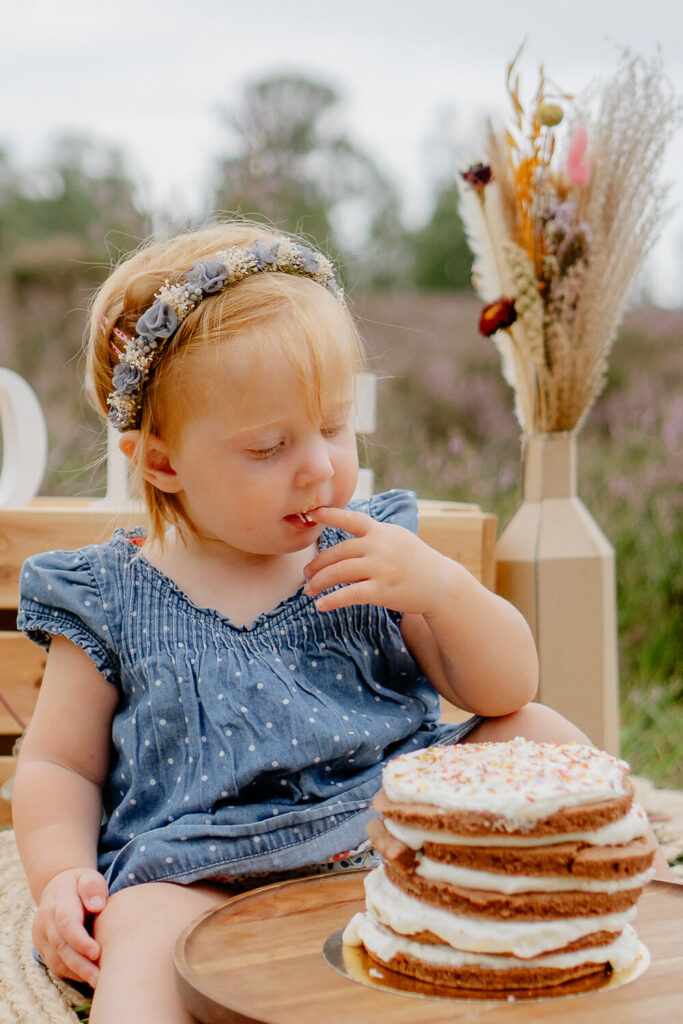 Fotografin-Judith-fotografiert_Brunsberg_Cakesmash_Fotoshooting_Baby_Sommer_Heidebluete